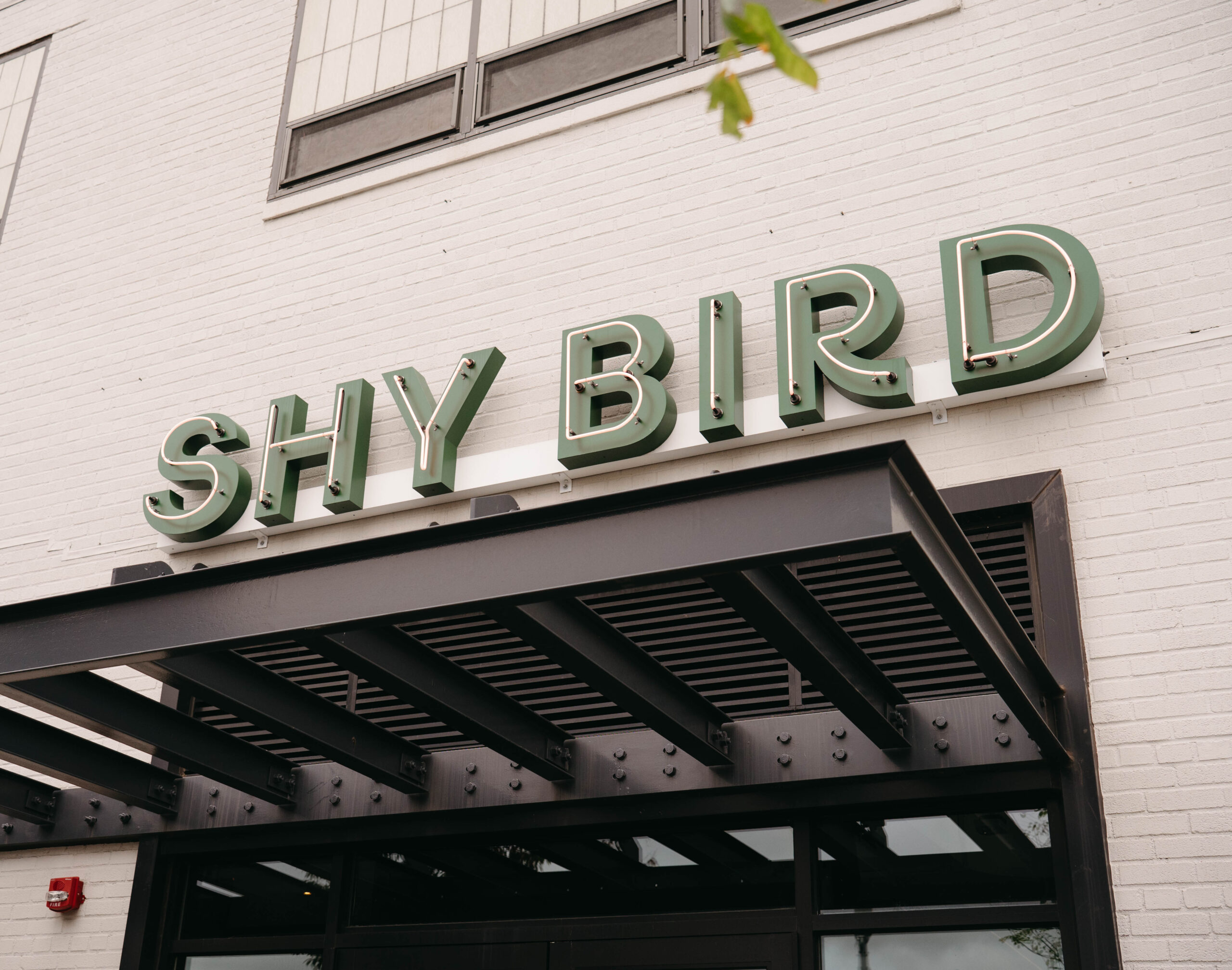 outside of shy bird