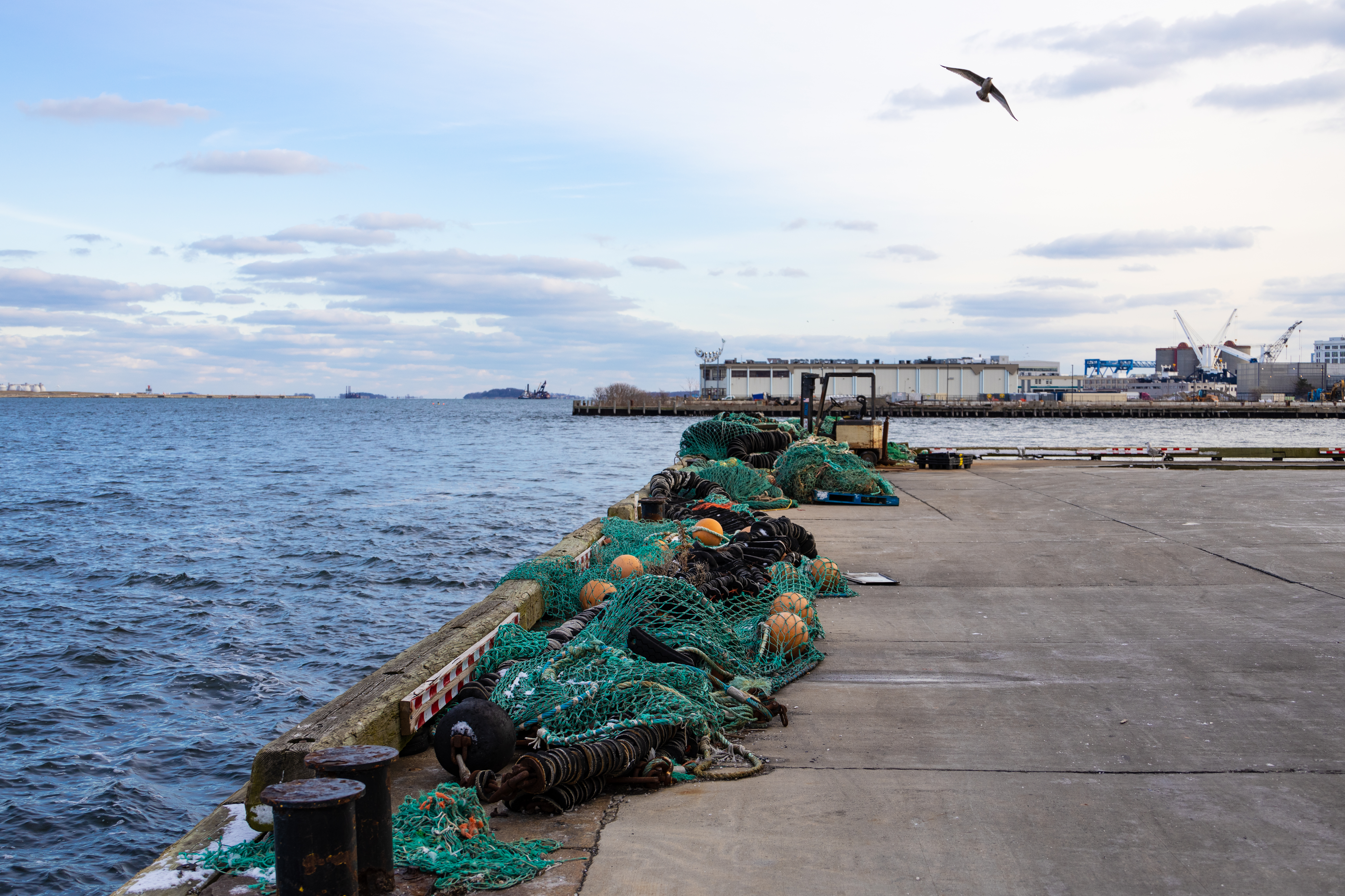 save the harbor/save the bay