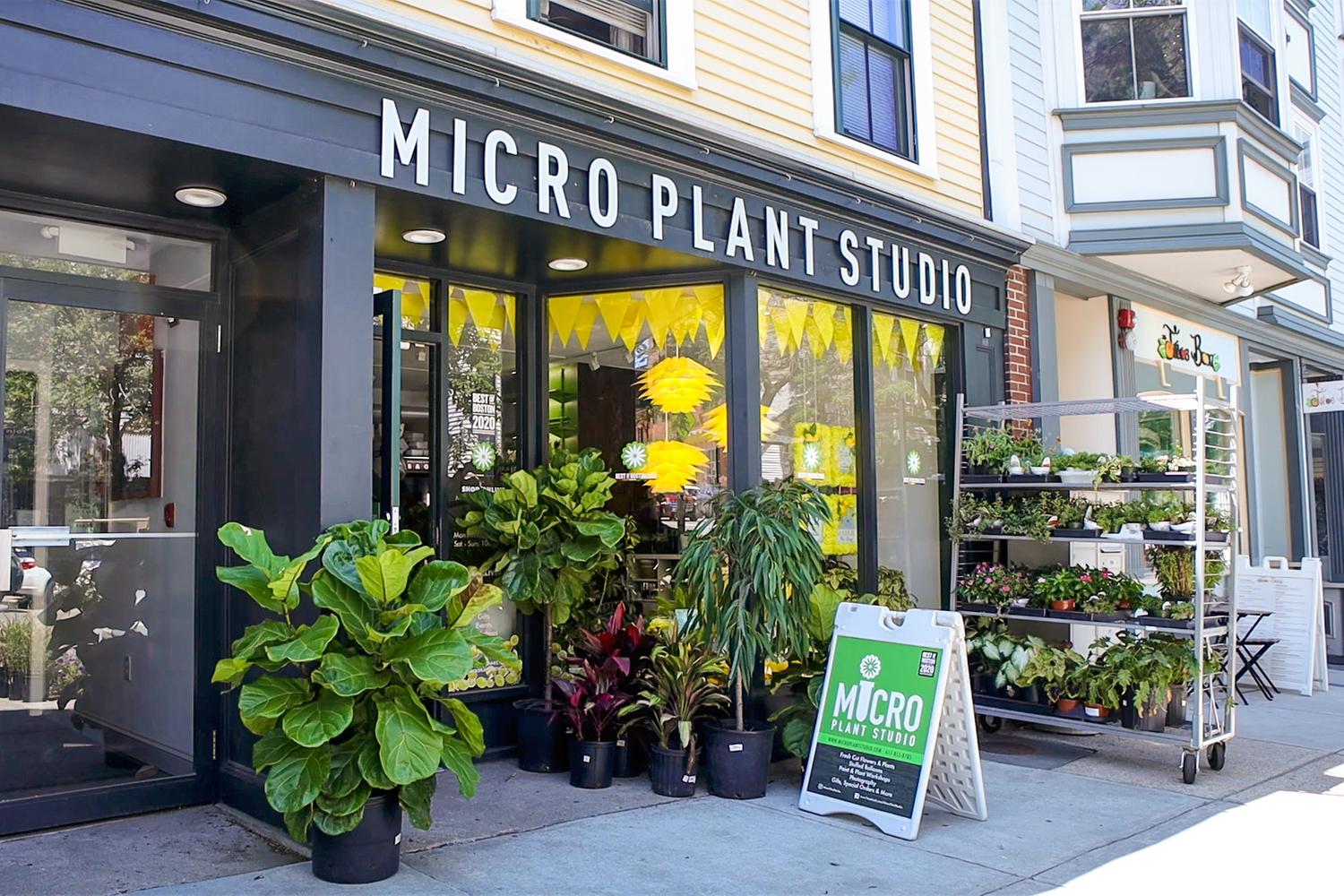 storefront of microplant studio